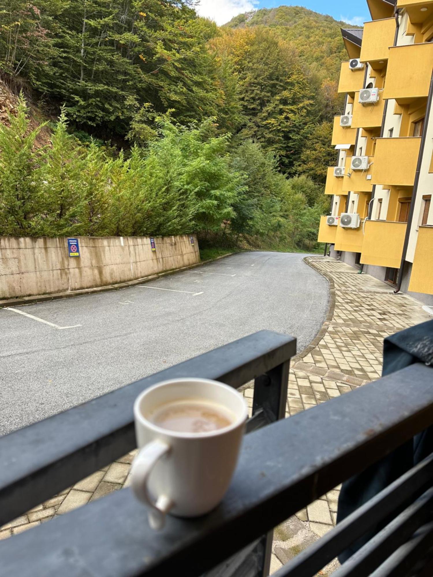 Forest View Apartment Mavrovo Bagian luar foto