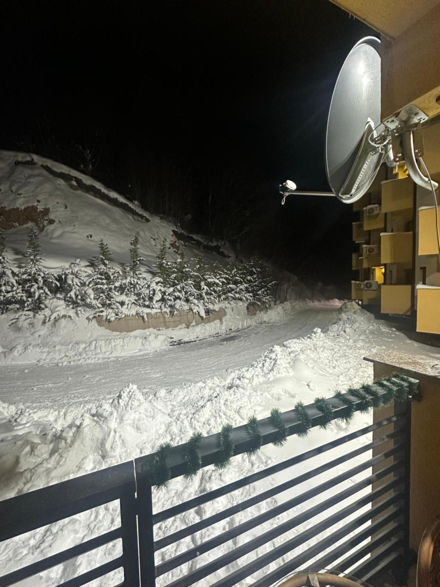 Forest View Apartment Mavrovo Bagian luar foto